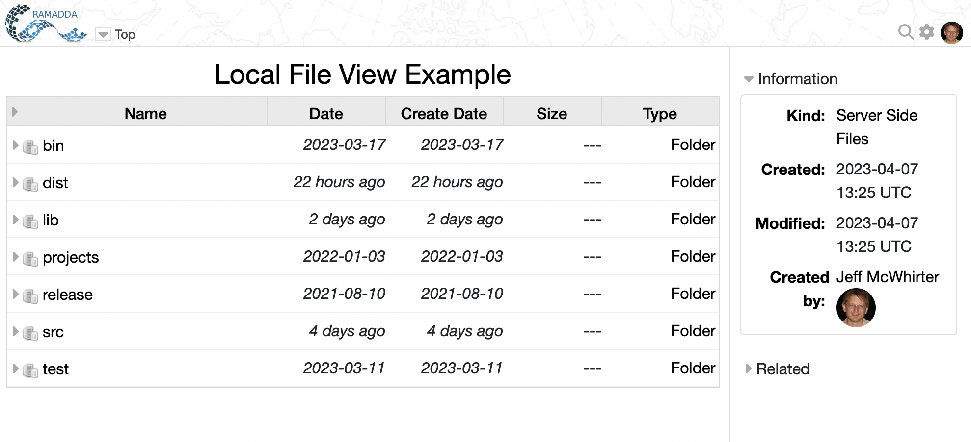 Local File View Example
